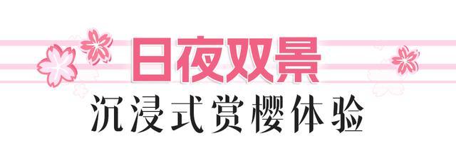 武漢21家景區(qū)對2025漢馬選手有優(yōu)惠 櫻花季啟幕迎全球游客