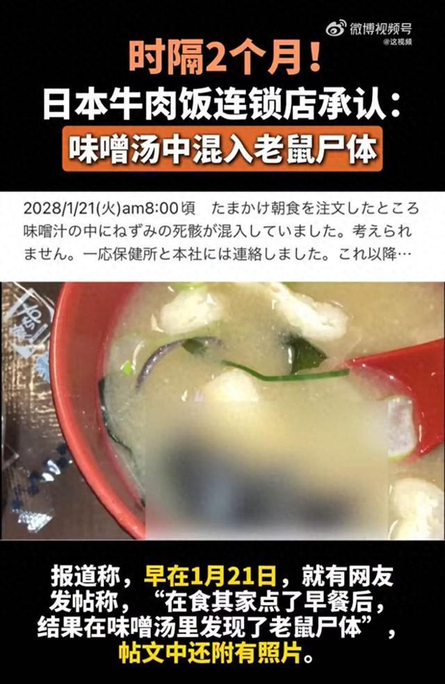 日本連鎖店承認(rèn)味噌湯中有老鼠尸體