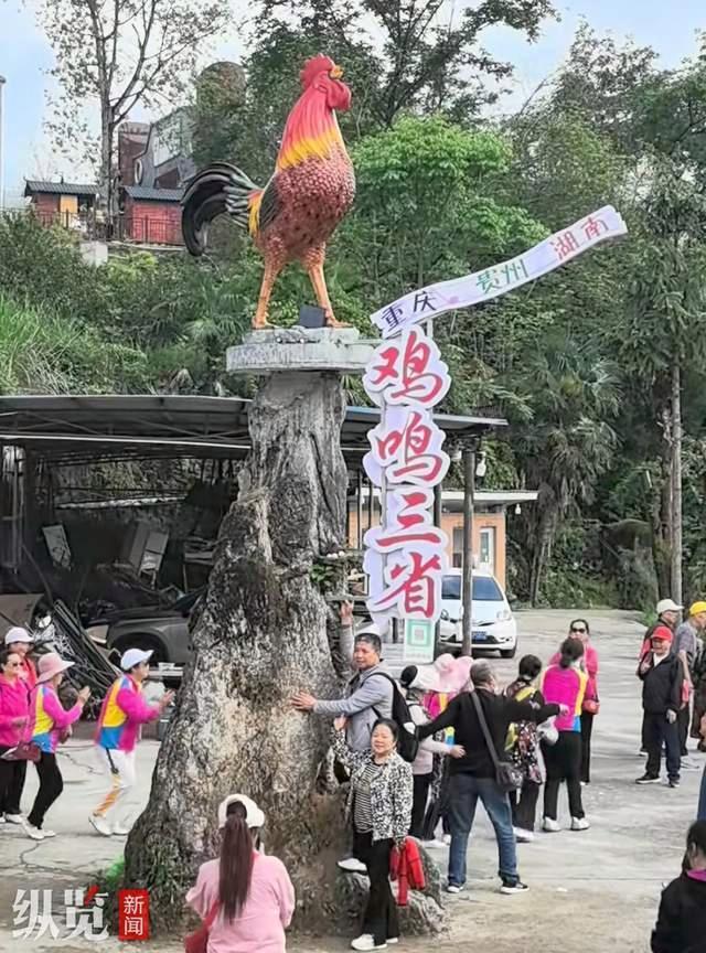 農(nóng)家樂掃碼聞雞鳴遭跟風(fēng)惡搞