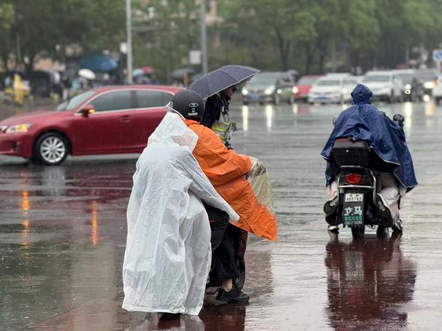 北京：京城朝雨浥輕塵，別是一番浪漫景象 清新空氣迎新日