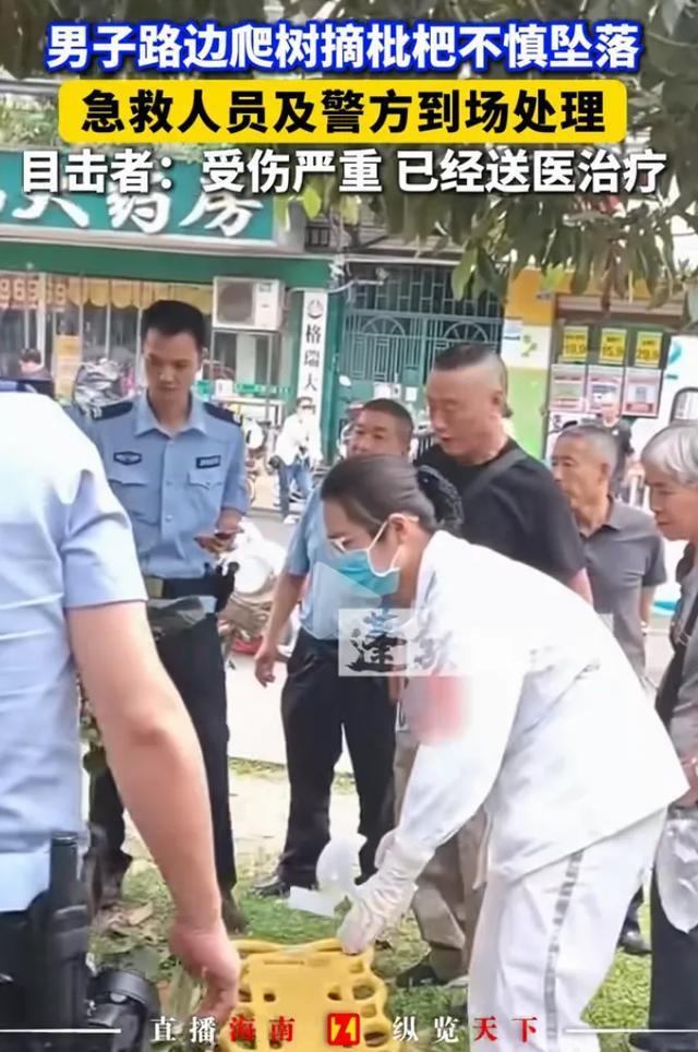 男子爬樹摘枇杷不慎摔下 偷雞不成蝕把米