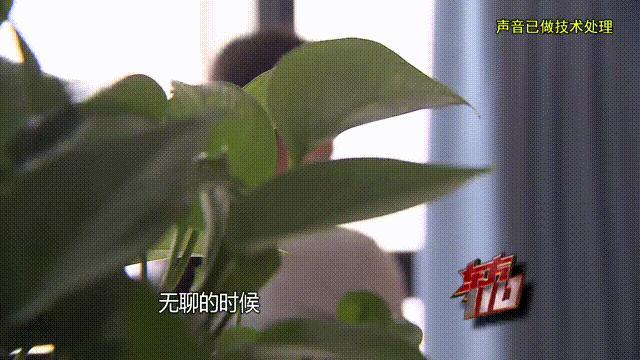 癡情女被騙百萬吃泡面度日仍堅持轉(zhuǎn)賬 三年騙局終曝光