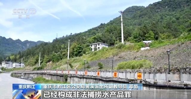 兩男子炸野生魚被警察帶走 非法捕撈受懲處