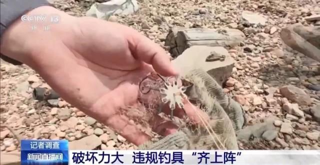 6人為釣大魚進保護區(qū) 違規(guī)垂釣破壞生態(tài)