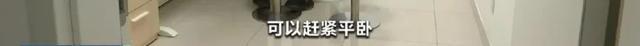 專家揭秘：荔枝吃多了可能引發(fā)“荔枝病” 空腹過量食用風(fēng)險(xiǎn)大