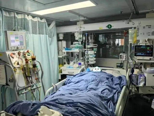 云南第一波吃菌子的已經(jīng)進醫(yī)院了 中毒致幻案例頻發(fā)