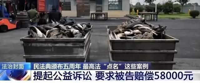 女子放生外來鲇魚被罰5.8萬 盲目放生引生態(tài)災(zāi)難