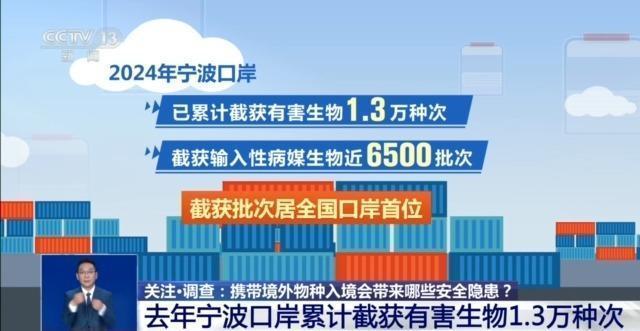 養(yǎng)“異寵”或危害國家安全 外來物種隱患多