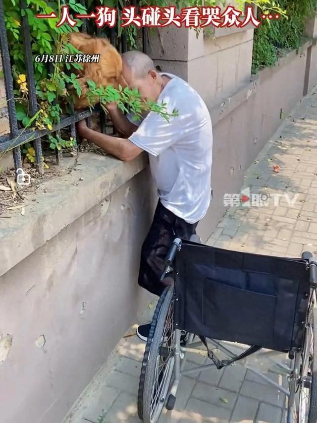 老人摔斷腿后找鄰居家狗狗玩 溫馨一幕感動眾人