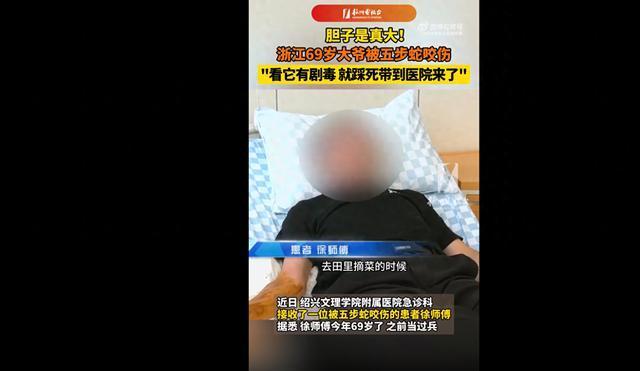 老人被毒蛇咬伤：医生说比骨折还痛 正确处理至关重要