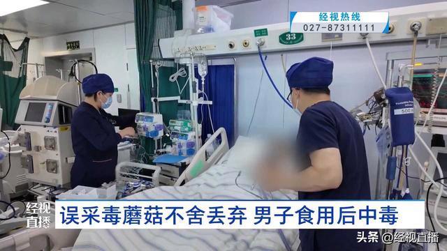 男子誤采蘑菇界死神不舍丟棄吃中毒 險(xiǎn)釀悲劇
