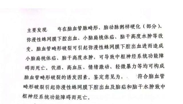 男子被打還手致死被判8年 一拳引發(fā)的爭議