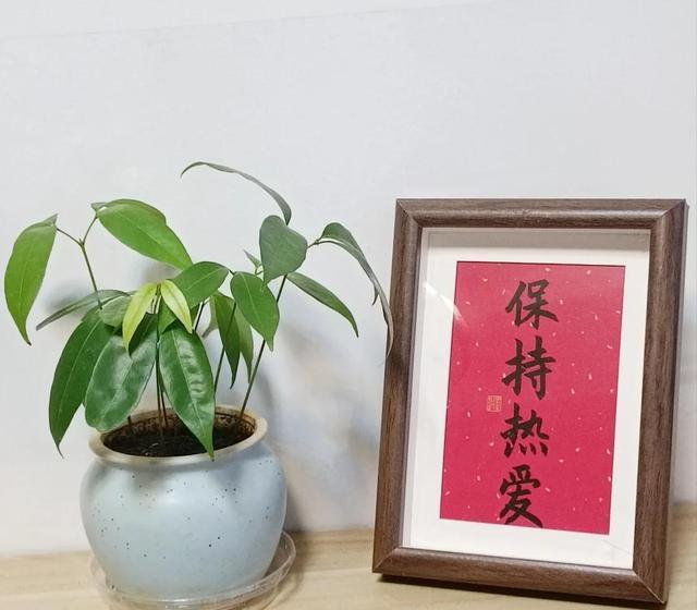 頭一次見(jiàn)荔枝壓縮包 壓力山大荔走紅
