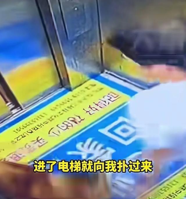 男子被不拴繩的大狗堵在電梯里撲咬，在電梯內(nèi)遇未拴繩狗撲咬該怎么做？