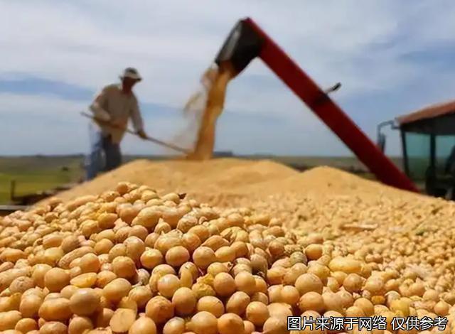 美国大豆为何失去了中国市场 贸易摩擦与供应链重构