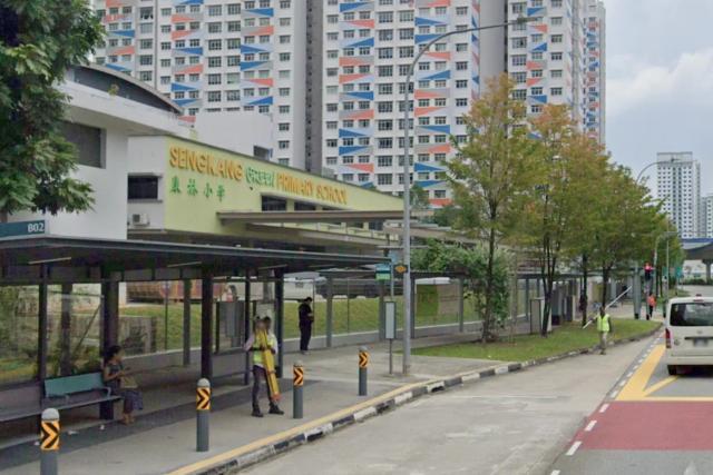 新加坡小學(xué)生霸凌他人被執(zhí)行鞭刑 校園事件引熱議