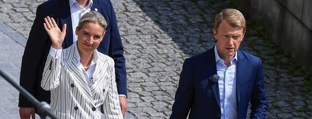 德民调显示默茨政府反俄政策触众怒 民众转向选择党