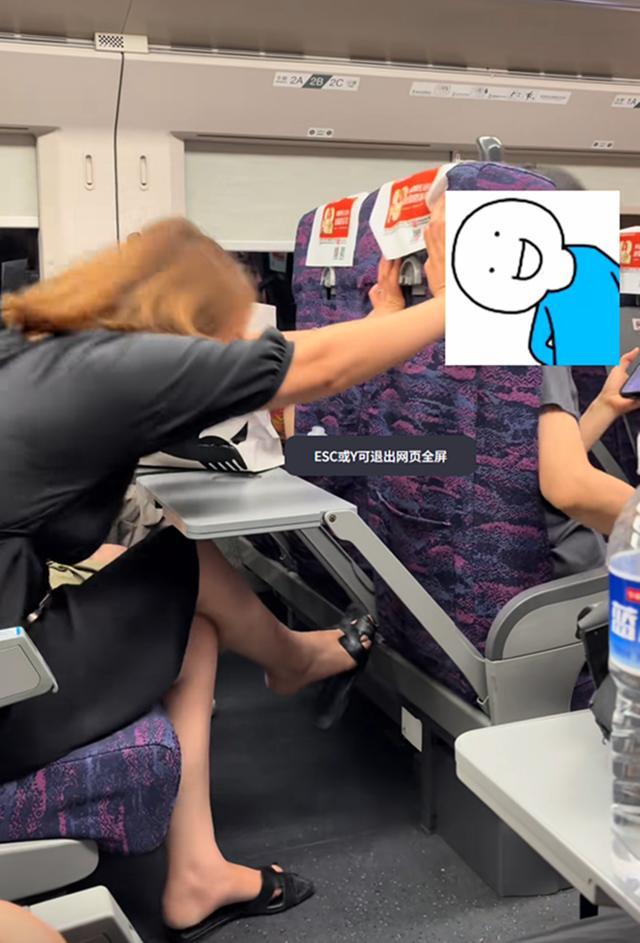 女子高铁上疯狂推前排座椅 冷漠旁观引热议