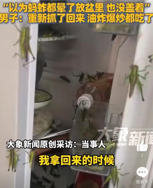 男子冰箱放蚂蚱未加盖隔天开门惊呆 冰箱成蚂蚱乐园
