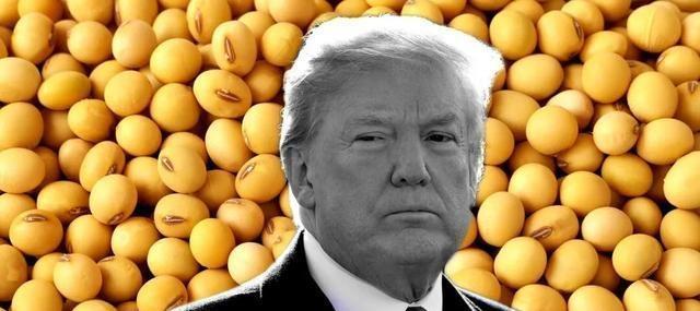 中国不下单美国大豆农民真的慌了 订单暂停引发焦虑