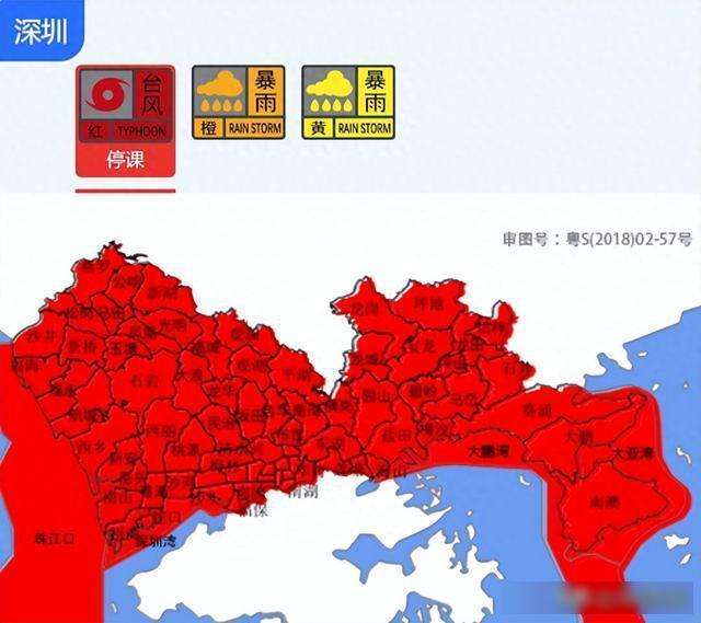 台风整夜放倒深圳174棵树