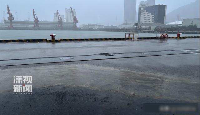 台风整夜放倒深圳174棵树 全市干预防风景色