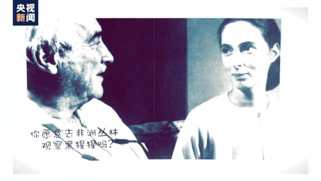 “课本上的传奇”珍·古道尔逝世 自然学家的永恒告别