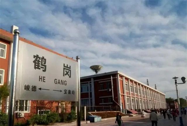 在黑龙江鹤岗2万块钱买了房子 真实买家目的揭秘