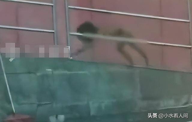 野人小孩母亲衣着暴露不穿完整衣服 极端自然教养引争议