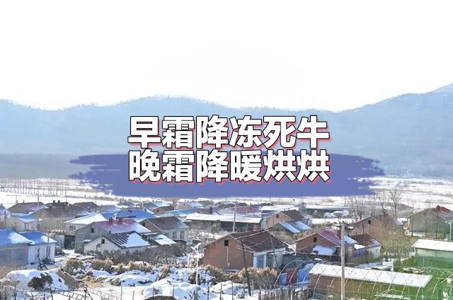 老话“早霜降冻死牛，晚霜降暖洋洋” 冬天冷不冷，霜降说了算