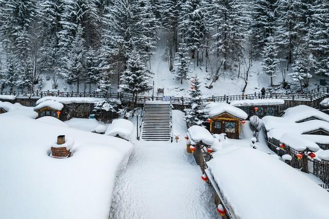 “晚重阳证券配资公司，冻死牛” 今年冬天冻到哭吗？ 古人预测冷冬来临