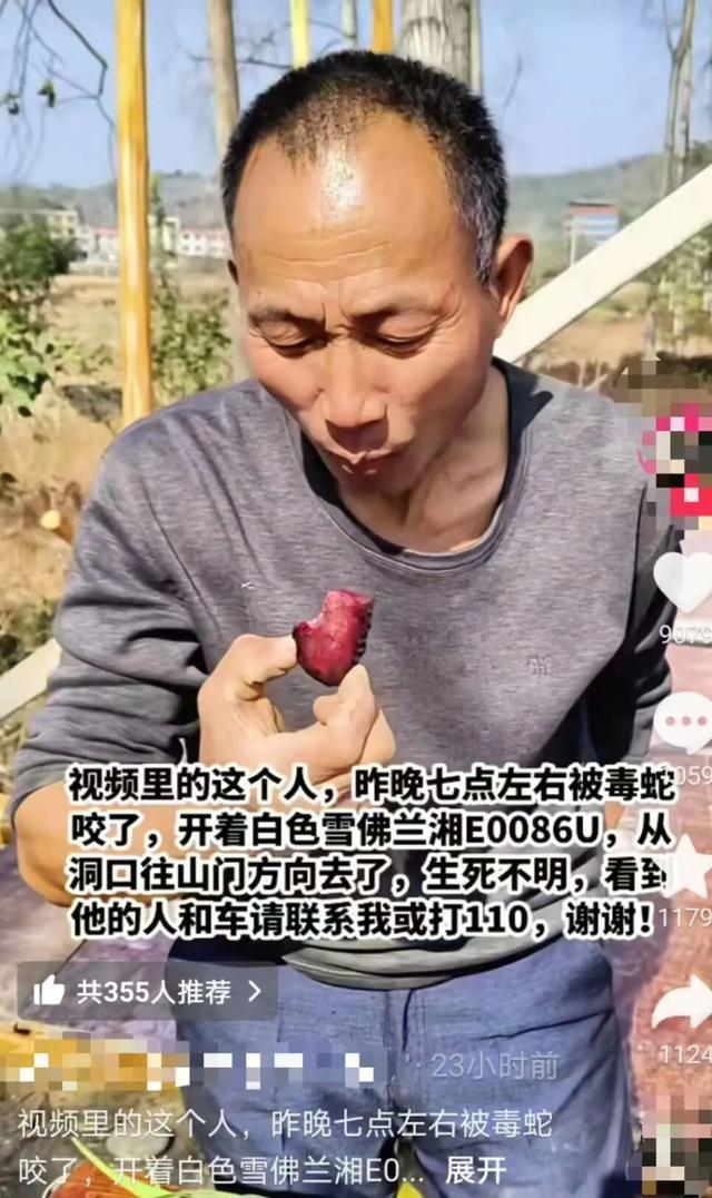 直播抓蛇被咬伤失联的大叔已回家 平安归来引发关注