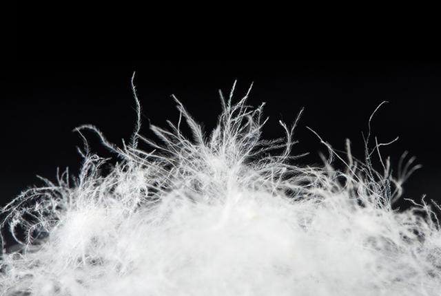 被抢到断货的千元羽绒服是谁在买 高价热销背后的心理需求