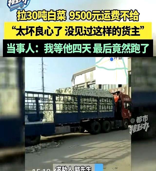 运费纠纷扣30万货货主司机各执一词 信任危机下的货运悬疑剧