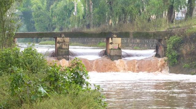 托举8旬落水老东说念主10分钟男人发声 警民合力扶助告成