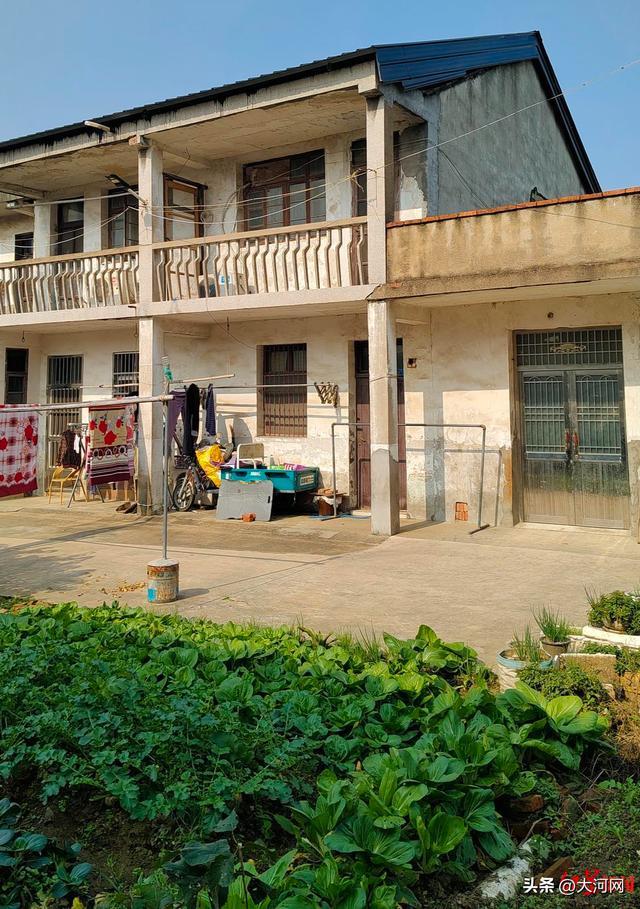 男子殴打92岁母亲,邻居称事后老母亲曾拿500元想保儿子回家 母爱无边