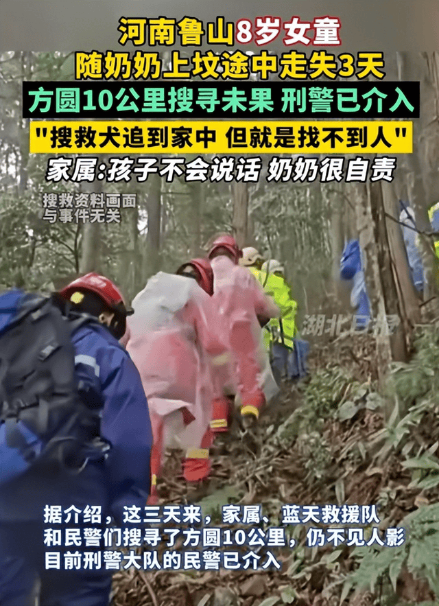 河南鲁山8岁女孩失联,多方搜寻未果,紧急寻找失踪儿童!