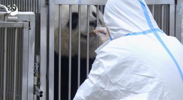 马克龙访华的核心诉求是什么 寻求经济合作与支持