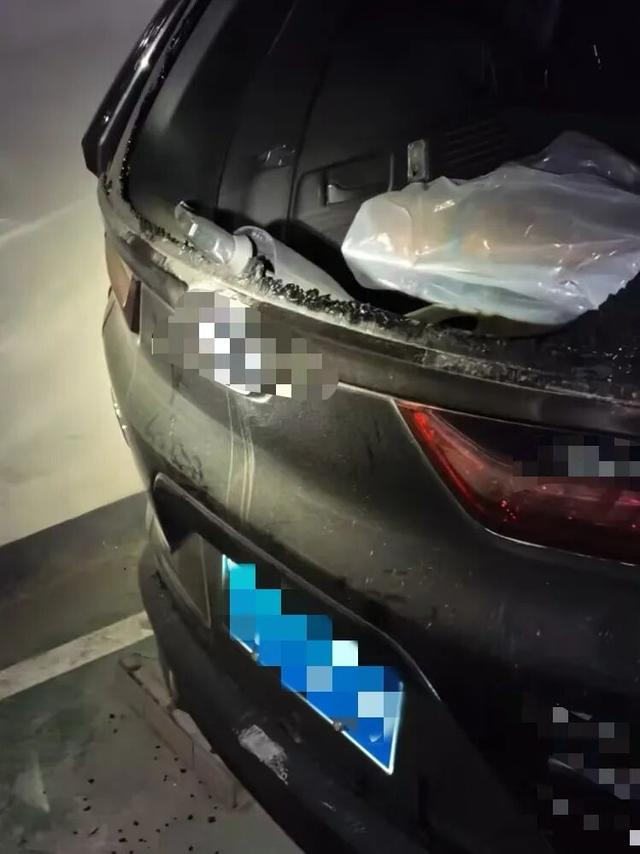 沈阳与秦皇岛警方联手破获砸车偷盗案,涉及20辆车引发关注