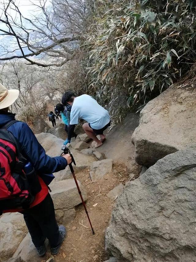 男子疑玩手機墜崖 事后發(fā)文福大命大 山神眷顧奇跡生還