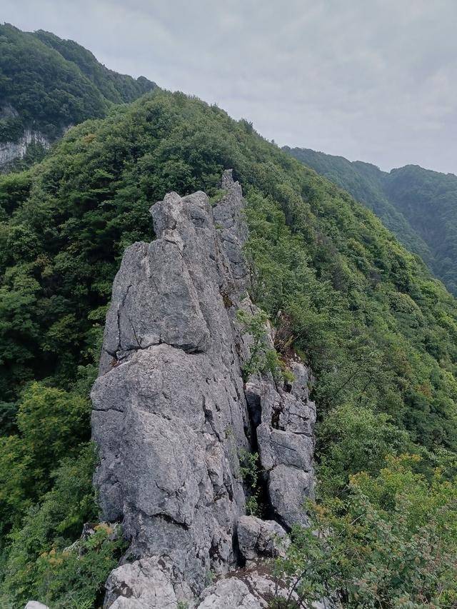 男子疑玩手機墜崖 事后發(fā)文福大命大 山神眷顧奇跡生還