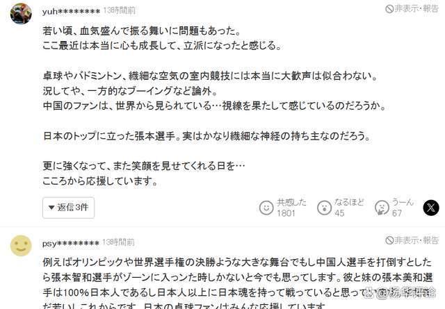 日本球迷表示理解张本智和两边受气的痛苦：请日乒协给他心理保护 理解与支持涌现