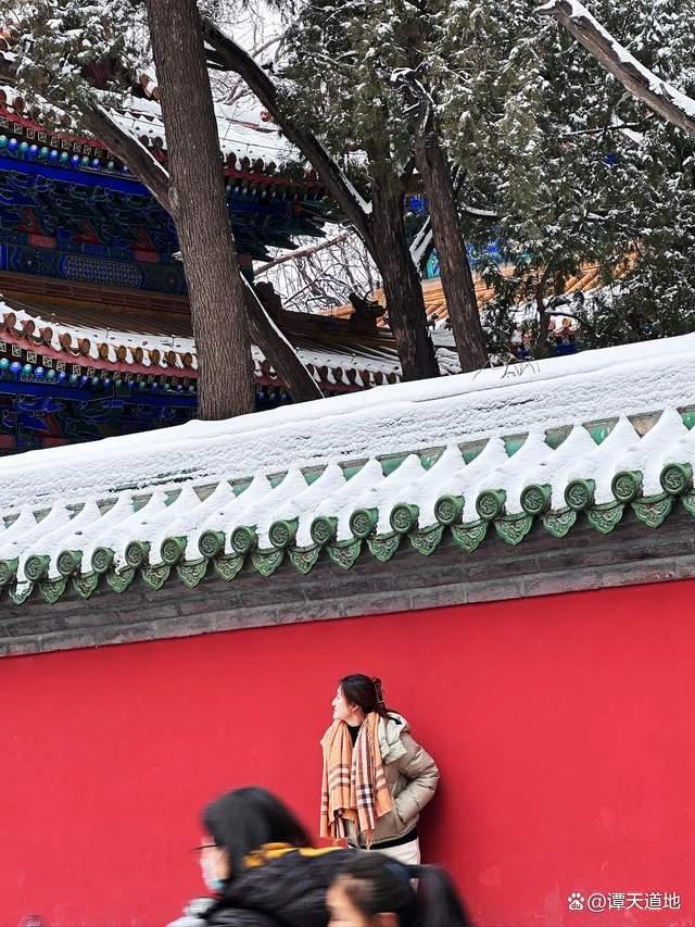 被北京雪地里的祝福戳到了 故宮雪景成冬日頂流