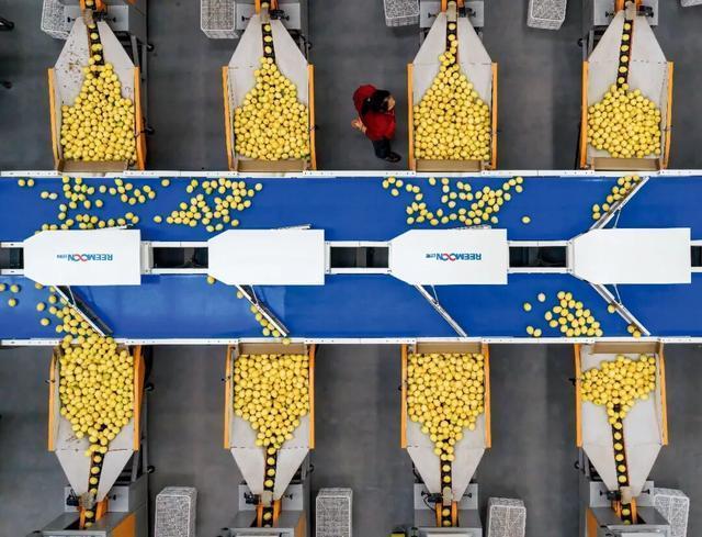 500萬(wàn)質(zhì)檢工人，危機(jī)來(lái)了 AI瑕疵檢測(cè)崛起