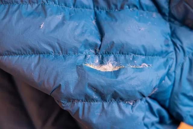 不同价位羽绒服到底差别在哪 市场乱象让消费者困惑