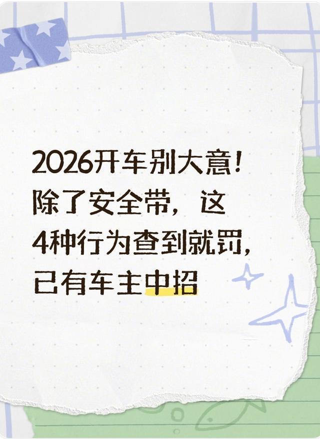 乘客没系安全带车主被罚 交警解释