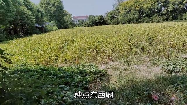 你会在农村建房仍是在城里买房 后悔农村建房的遴荐