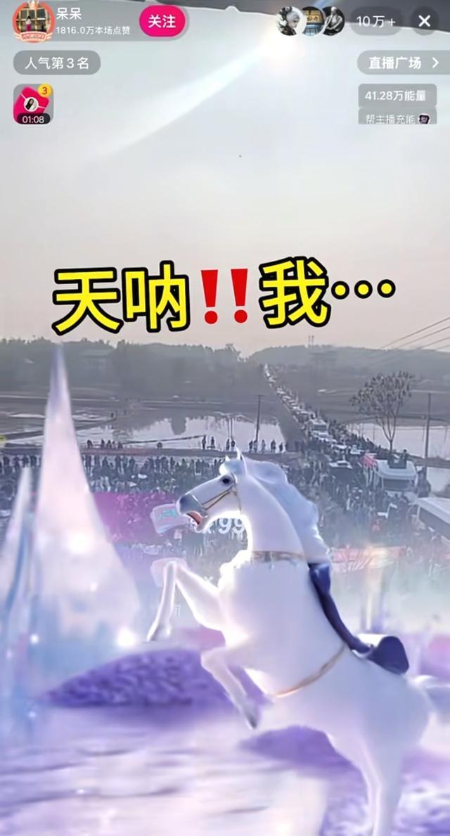 呆呆直播4场观看人次超1.1亿 农村生活引发热潮