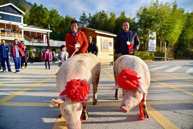 广东版“刨猪汤”在佛山开吃