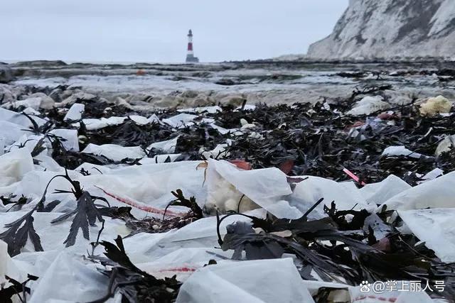 英国现薯条海滩 海上运输事故引发奇特景象